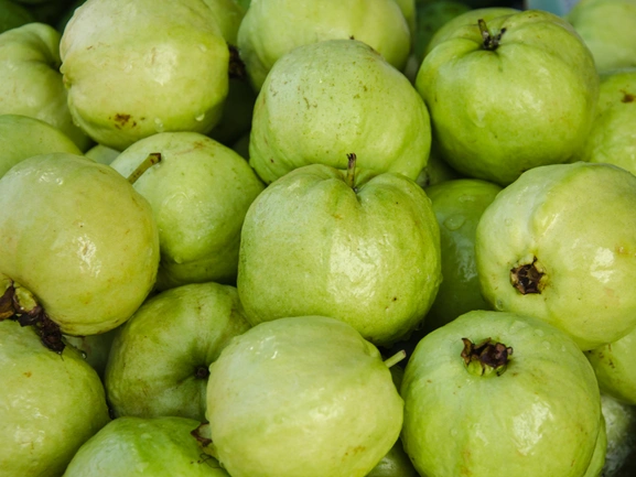Guava