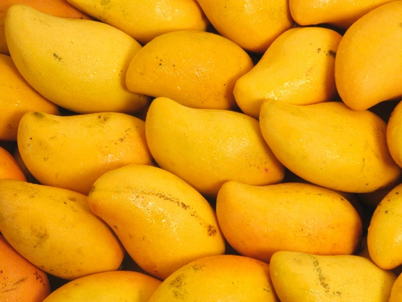 Mango